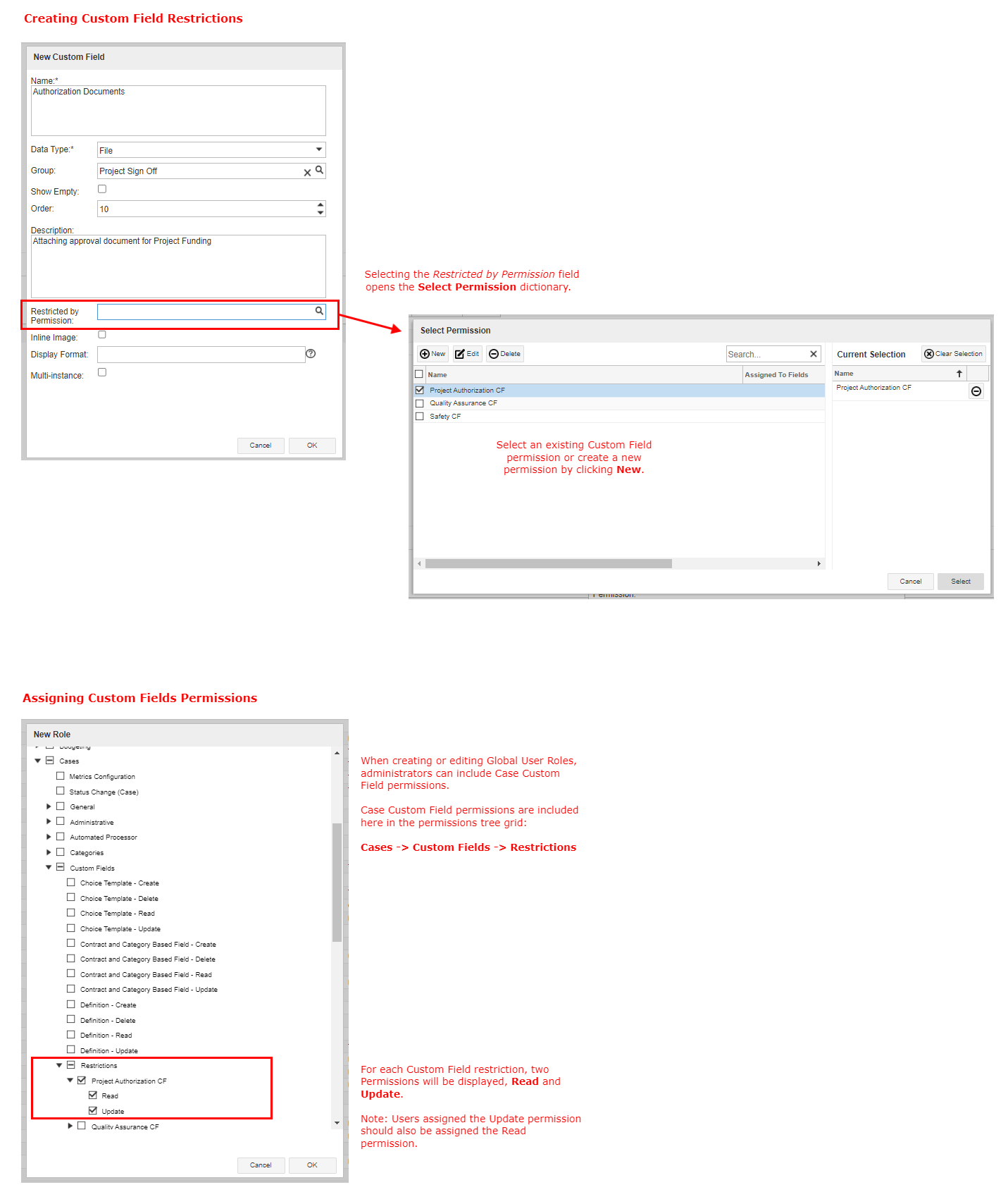 Case Custom Field Permissions