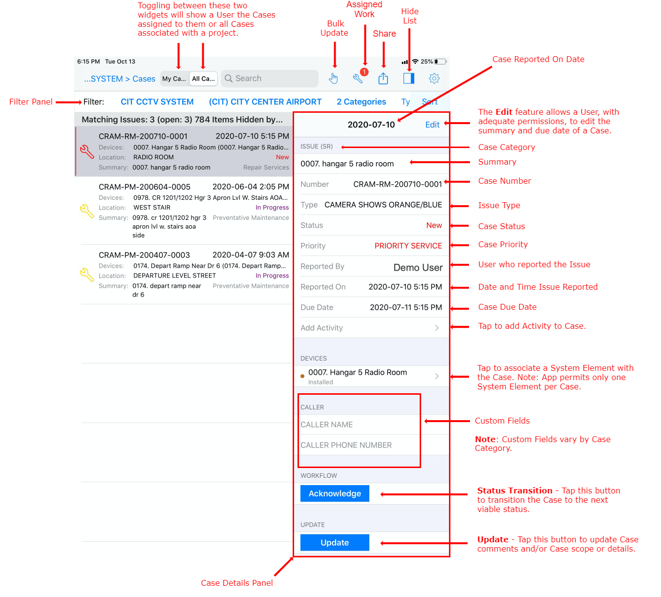 Case Details Panel Annotated