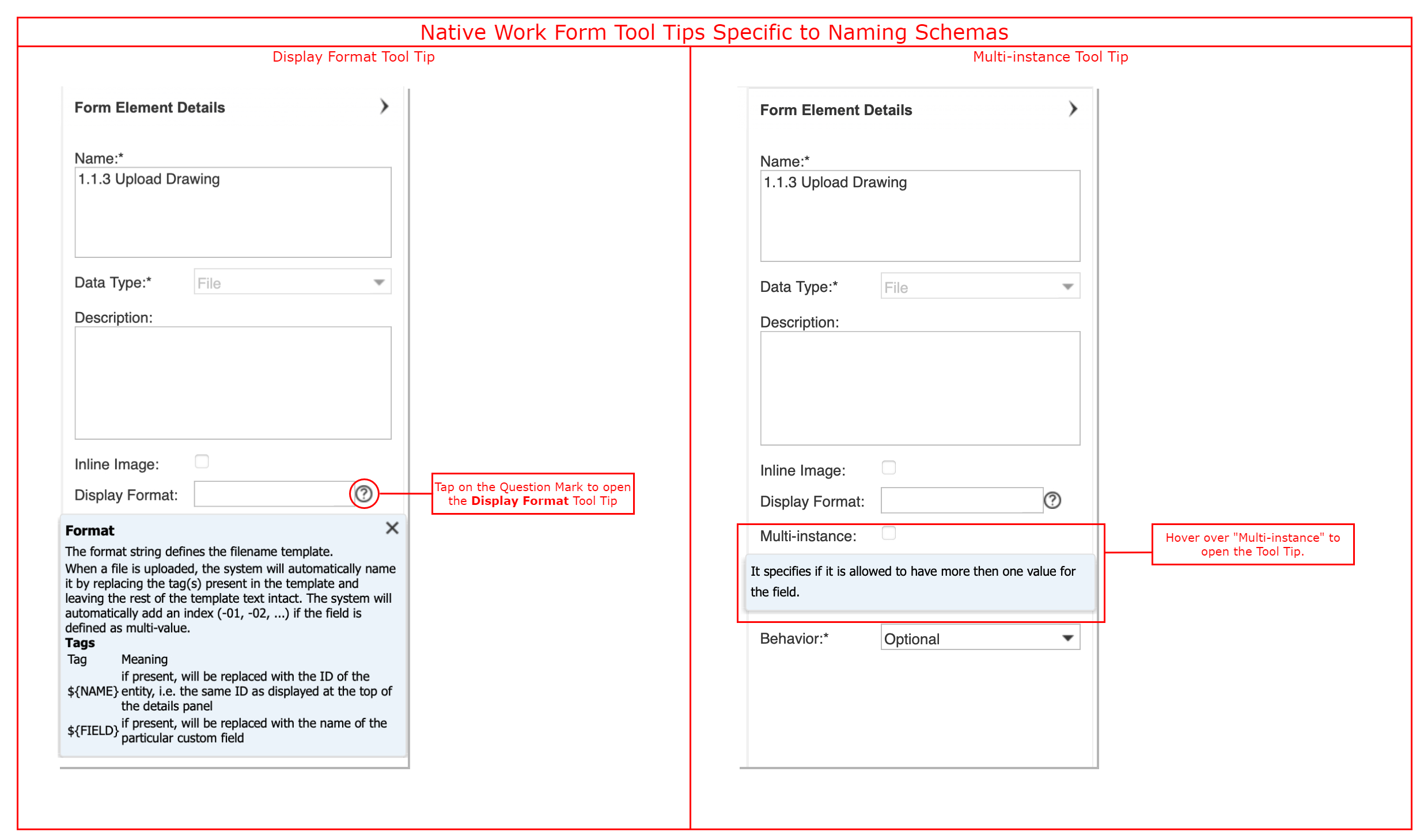 Native Work Form Display Format Naming Schema