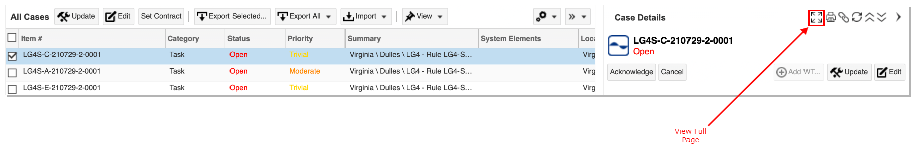 Case Details Panel Full Size Widget