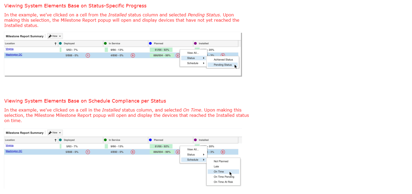 Milestone Report Summary Drill-Downs